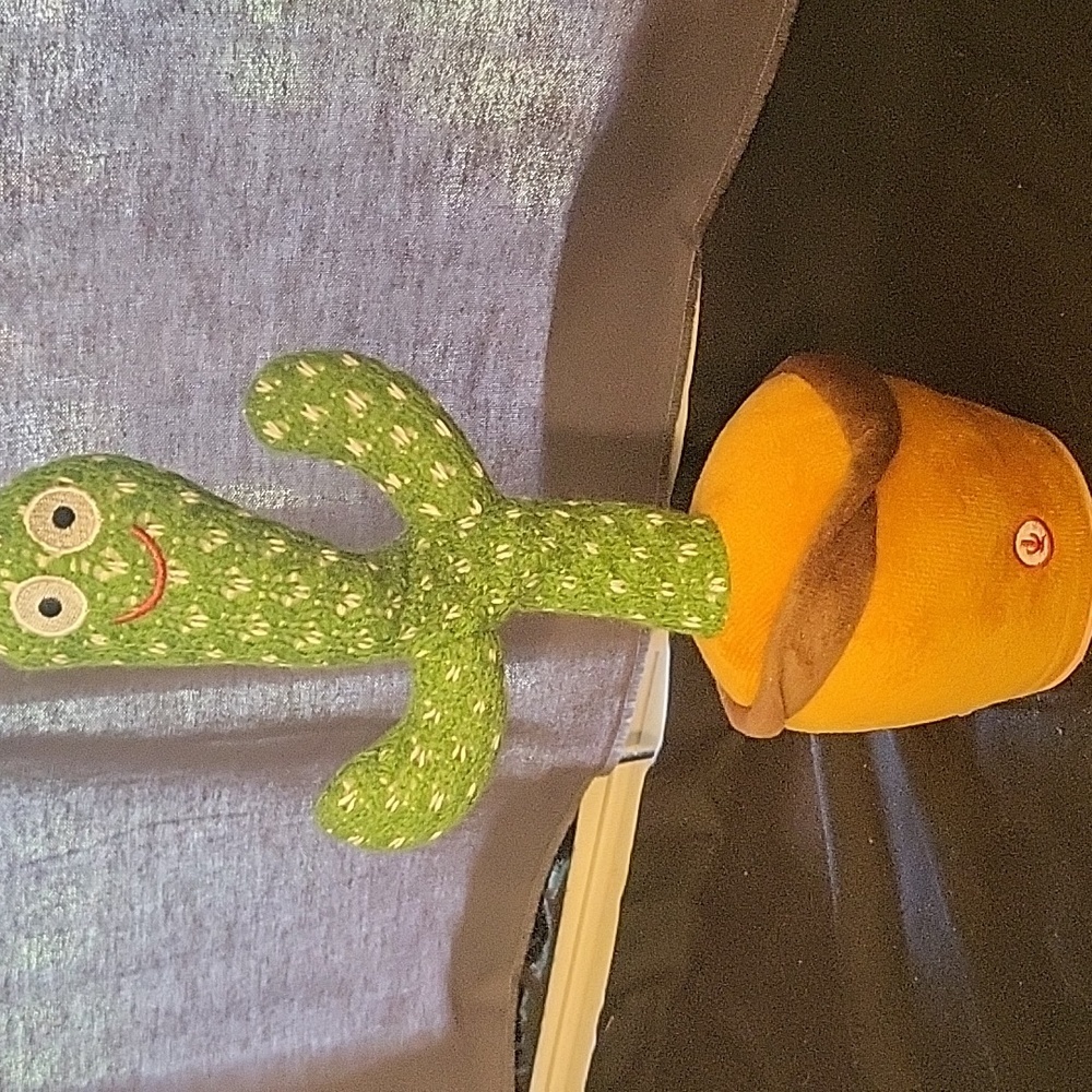 Singing cactus